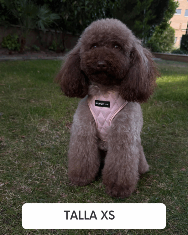 Arnés Cuero Rosa - Arnés Elegante para Perro - Imagen 3