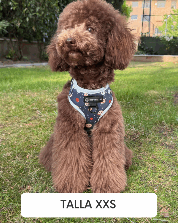 Arnés Planetas - Arnés Divertido para perros - Imagen 2