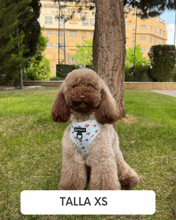 Arnés Sweets - Arnés Divertido para perros - Imagen 3