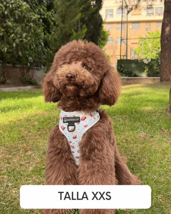 Arnés Sweets - Arnés Divertido para perros - Imagen 2