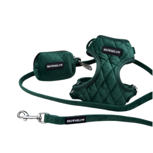 Pack Terciopelo Verde - Arnes, Correa y Portabolsas para perros