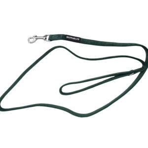 Correa Terciopelo Verde - Correa Elegante para perros