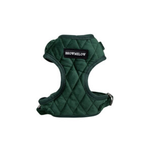 Arnés Terciopelo Verde - Arnés Elegante para perros
